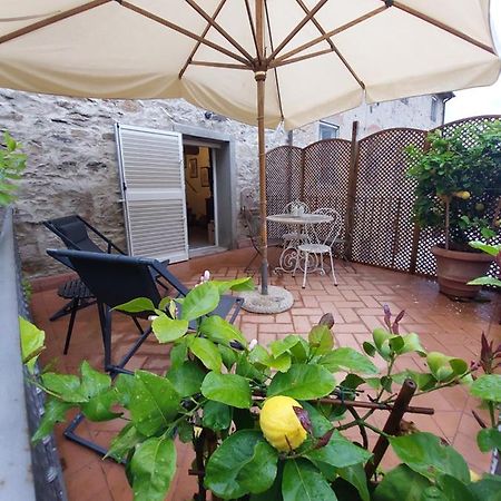 Casina Laura Villa Capannori Luaran gambar